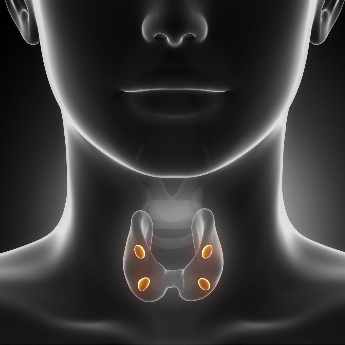 Parathyroid Surgery